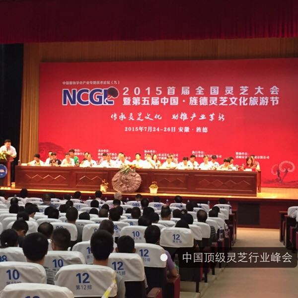 菇新靈芝 菇新靈芝