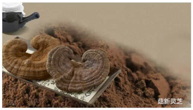 菇新靈芝破壁孢子粉 菇新靈芝破壁孢子粉