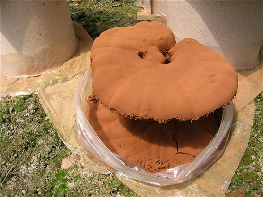 傳統(tǒng)的袋料收集 傳統(tǒng)的袋料收集