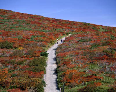 秋日最佳運動等山 秋日最佳運動等山