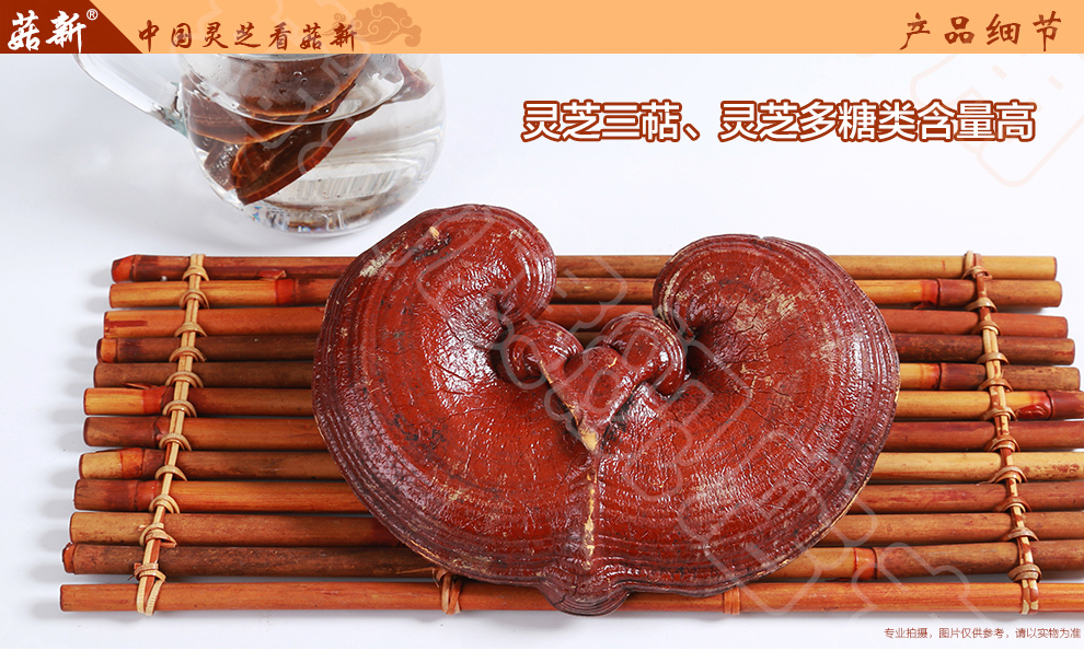 上海菇新赤靈芝子實(shí)體 日芝赤靈芝 上海菇新赤靈芝子實(shí)體 日芝赤靈芝