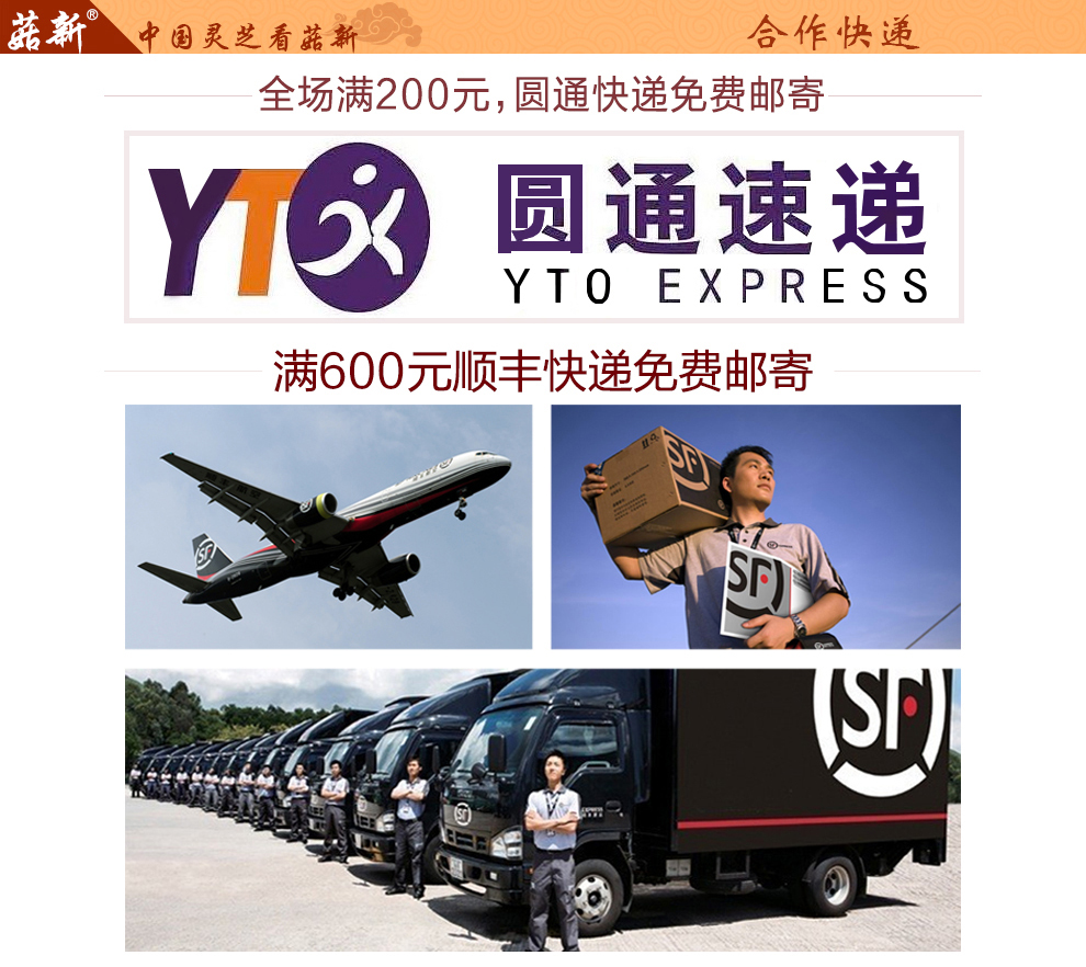 上海菇新赤靈芝子實(shí)體 日芝赤靈芝 上海菇新赤靈芝子實(shí)體 日芝赤靈芝