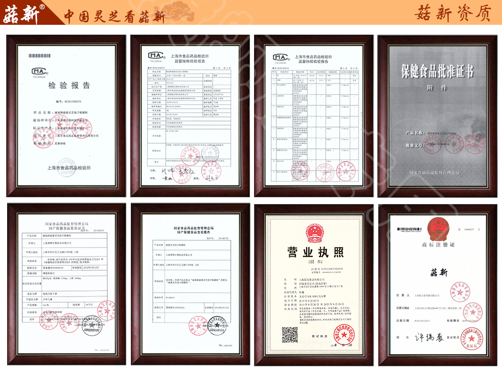 上海菇新赤靈芝子實(shí)體 日芝赤靈芝 上海菇新赤靈芝子實(shí)體 日芝赤靈芝