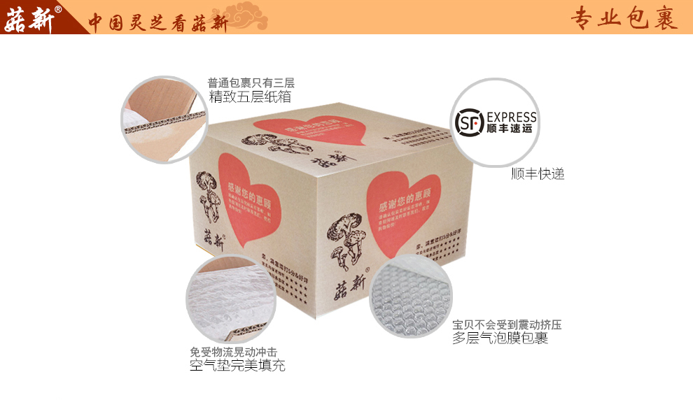 上海菇新赤靈芝子實(shí)體 日芝赤靈芝 上海菇新赤靈芝子實(shí)體 日芝赤靈芝