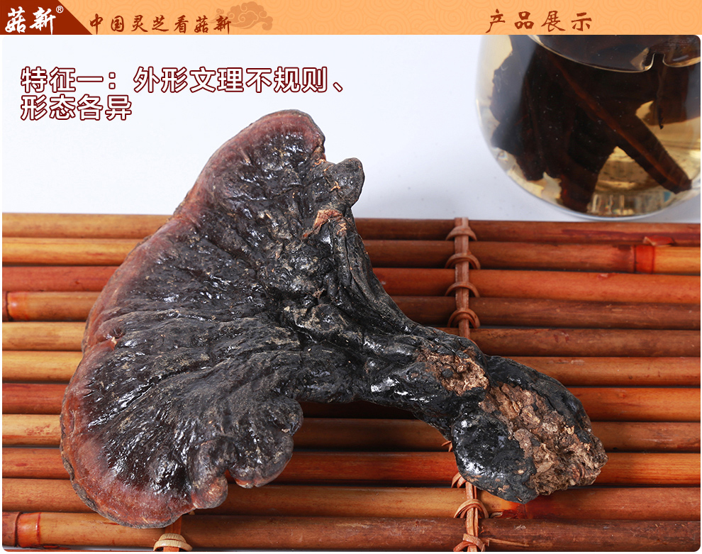 上海菇新 野生靈芝 中個頭 上海菇新 野生靈芝 中個頭