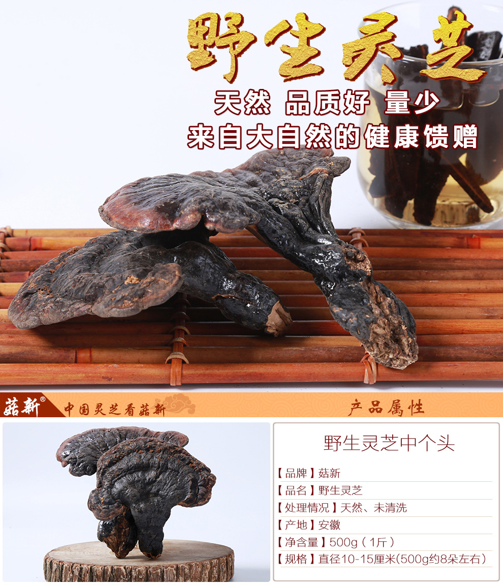 上海菇新 野生靈芝 中個頭 上海菇新 野生靈芝 中個頭