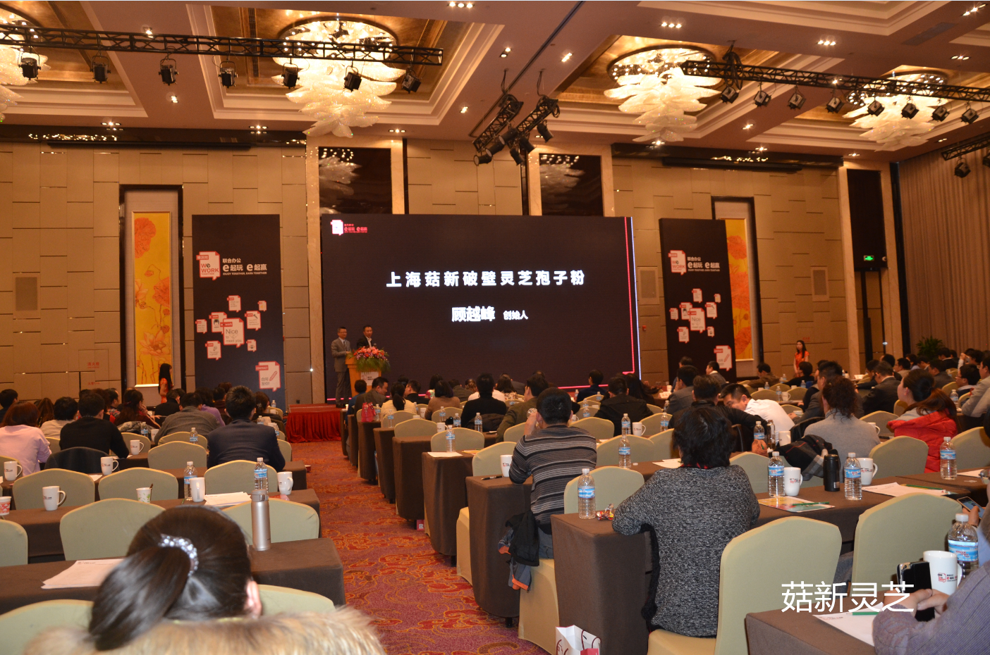 菇新創始人顧越峰先生講話 菇新創始人顧越峰先生講話