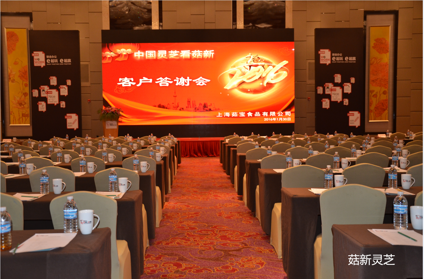 菇新靈芝客戶答謝會 菇新靈芝客戶答謝會