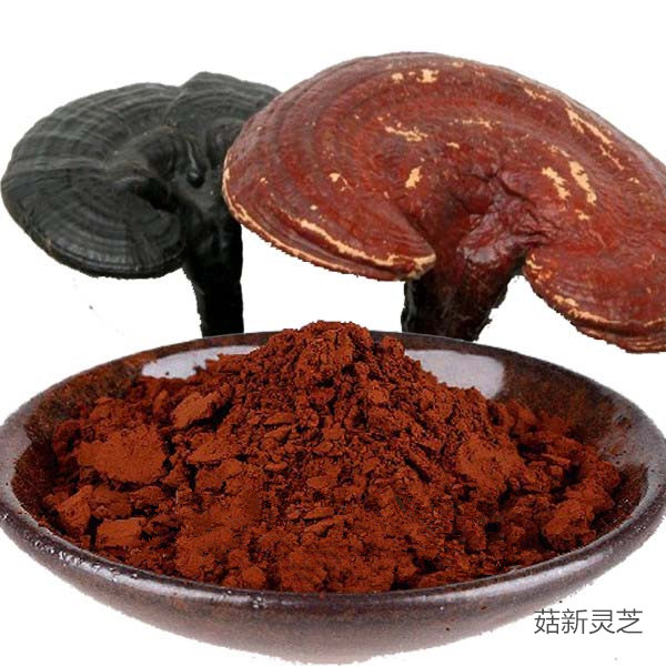 靈芝與靈芝孢子粉的區別