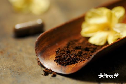 上海哪家破壁靈芝孢子粉好 上海哪家破壁靈芝孢子粉好