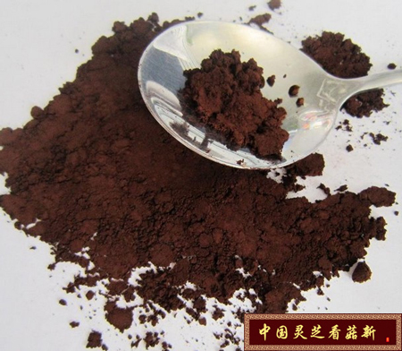 女性常吃靈芝孢子粉 女性常吃靈芝孢子粉