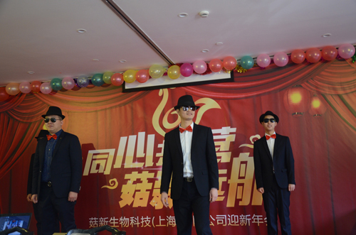 騎馬舞 菇新破壁靈芝孢子粉 騎馬舞 菇新破壁靈芝孢子粉