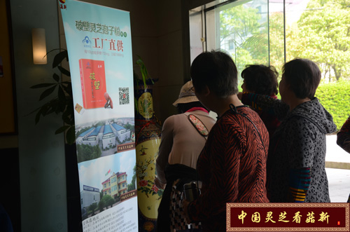 上海市浦東區癌癥康復俱樂部考察菇新靈芝 上海市浦東區癌癥康復俱樂部考察菇新靈芝