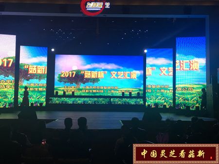 菇新杯 文藝匯演 菇新杯 文藝匯演