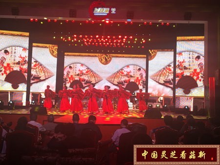 菇新被文藝匯演節目選段 菇新被文藝匯演節目選段