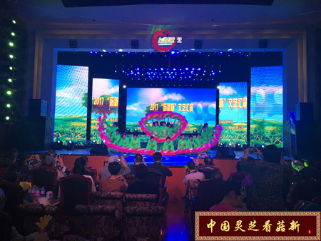 菇新被文藝匯演節目選段 菇新被文藝匯演節目選段