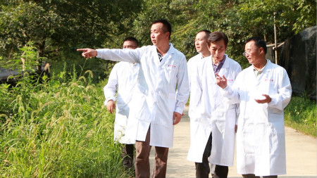 顧越峰實地考察靈芝基地