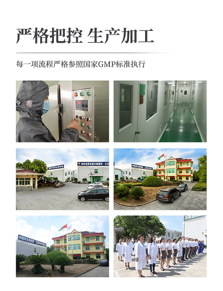 大漢牌靈芝破壁孢子沖劑 20g 大漢牌靈芝破壁孢子沖劑 20g