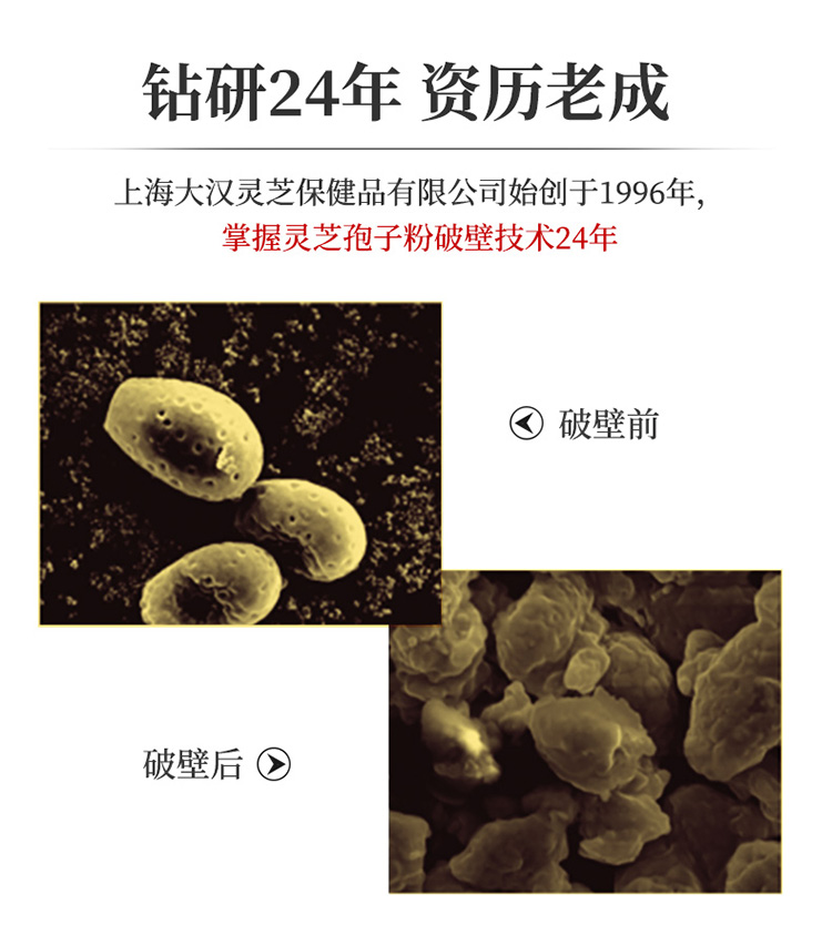 大漢牌靈芝破壁孢子沖劑 20g 大漢牌靈芝破壁孢子沖劑 20g