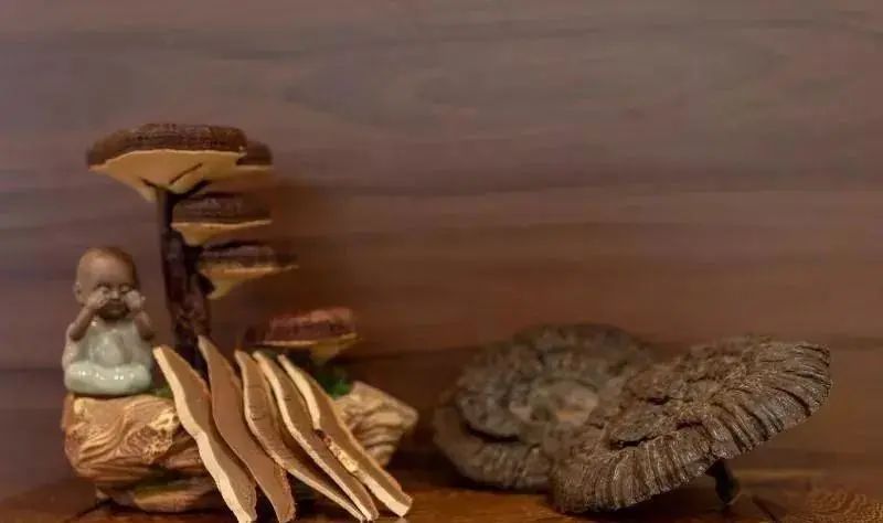 靈芝藥方也比較多 靈芝藥方也比較多