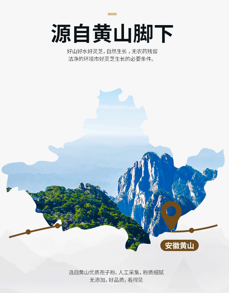 大漢寶芝 靈芝孢子油軟膠囊 大漢寶芝 靈芝孢子油軟膠囊