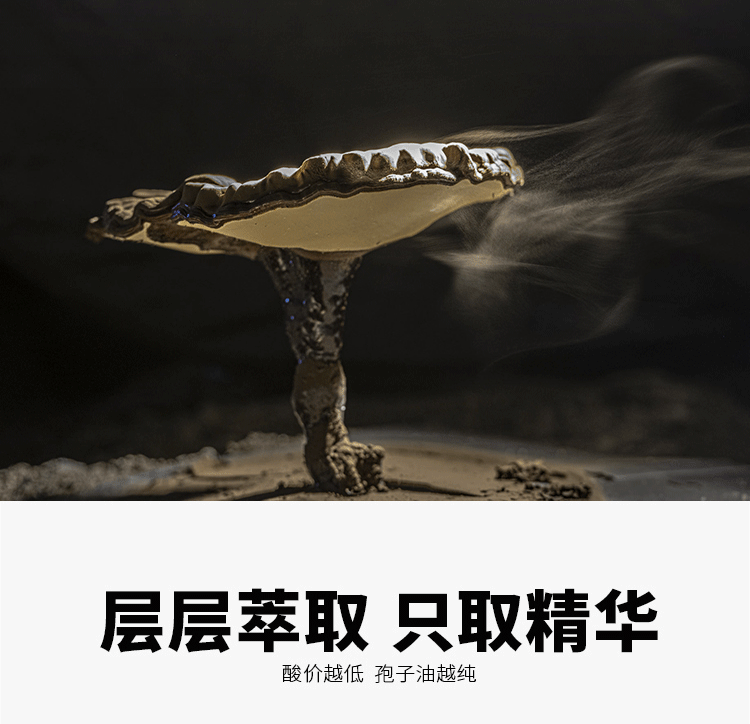 大漢寶芝 靈芝孢子油軟膠囊 大漢寶芝 靈芝孢子油軟膠囊