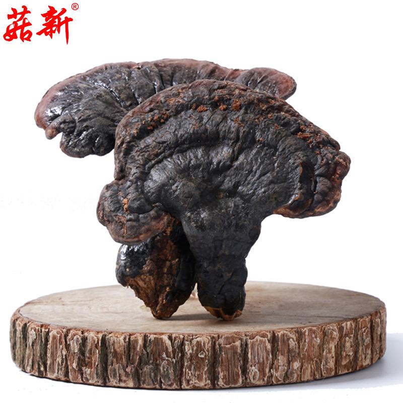 菇新 野生靈芝 中個頭 500g/袋 菇新 野生靈芝 中個頭 500g/袋