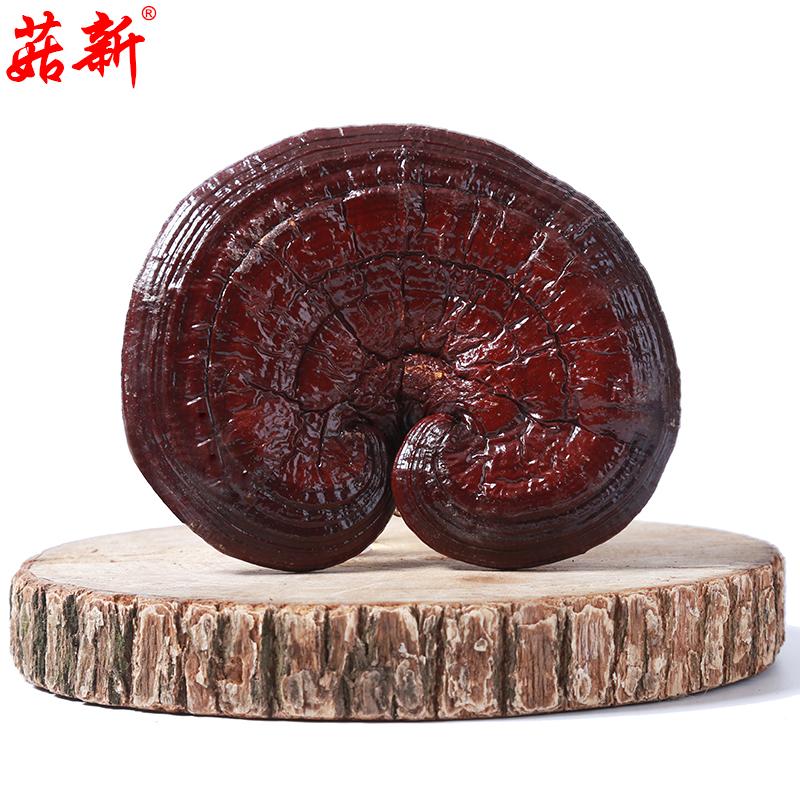 菇新 赤靈芝(韓芝) 500克/袋 菇新 赤靈芝(韓芝) 500克/袋